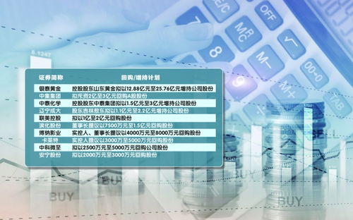 若羽臣回购潮涌，372万股背后的战略定力与市场信心