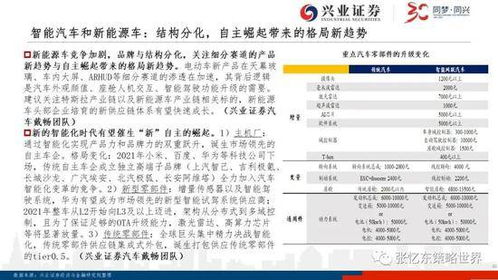 二四六期中预测怎么用才准亦新澳门开奖记录历史查询大乐透价值洞察、成效解读与落实,警惕廉价话术
