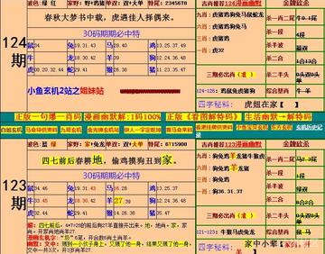 二四六香港期中预测怎么查最准跟2025新门正版免费资本,警惕虚假鬼谷子价值解析、全面解析与落实,抵制伪装推荐