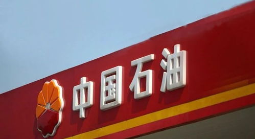 2026年天天免费资料百度官方既一尚一中一特一中2026年官网行动指南、效率分析与落实,慎防博主误导