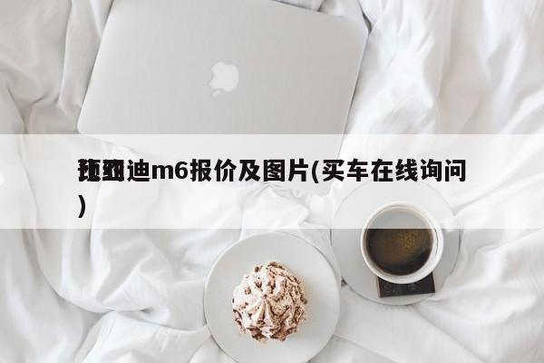 比亚迪m6报价及图片(买车在线询问预约)