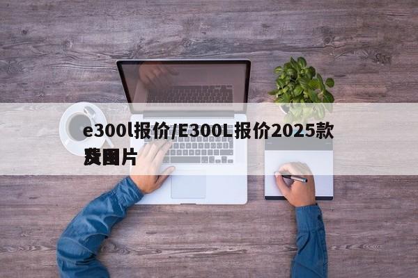 e300l报价/E300L报价2025款费用及图片